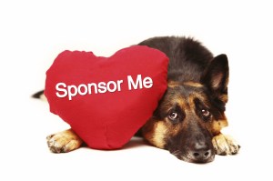 Easier to throw money my way if there's a cute puppy dog? No? Ah well, worth a shot!