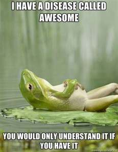 A-disease-called-awesome