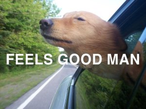 d68fb54c_1319347429001