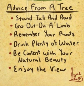 tumblr_mfmhot99e91qaa6nno1_500