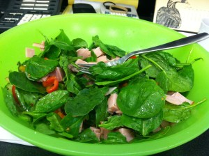 Nice salad full of protein and fat!