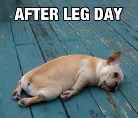 sore-muscles-e1370008259367